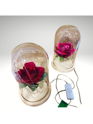 LUMINÁRIA CÚPULA PONTOS DE LUZ BIVOLT LINDO